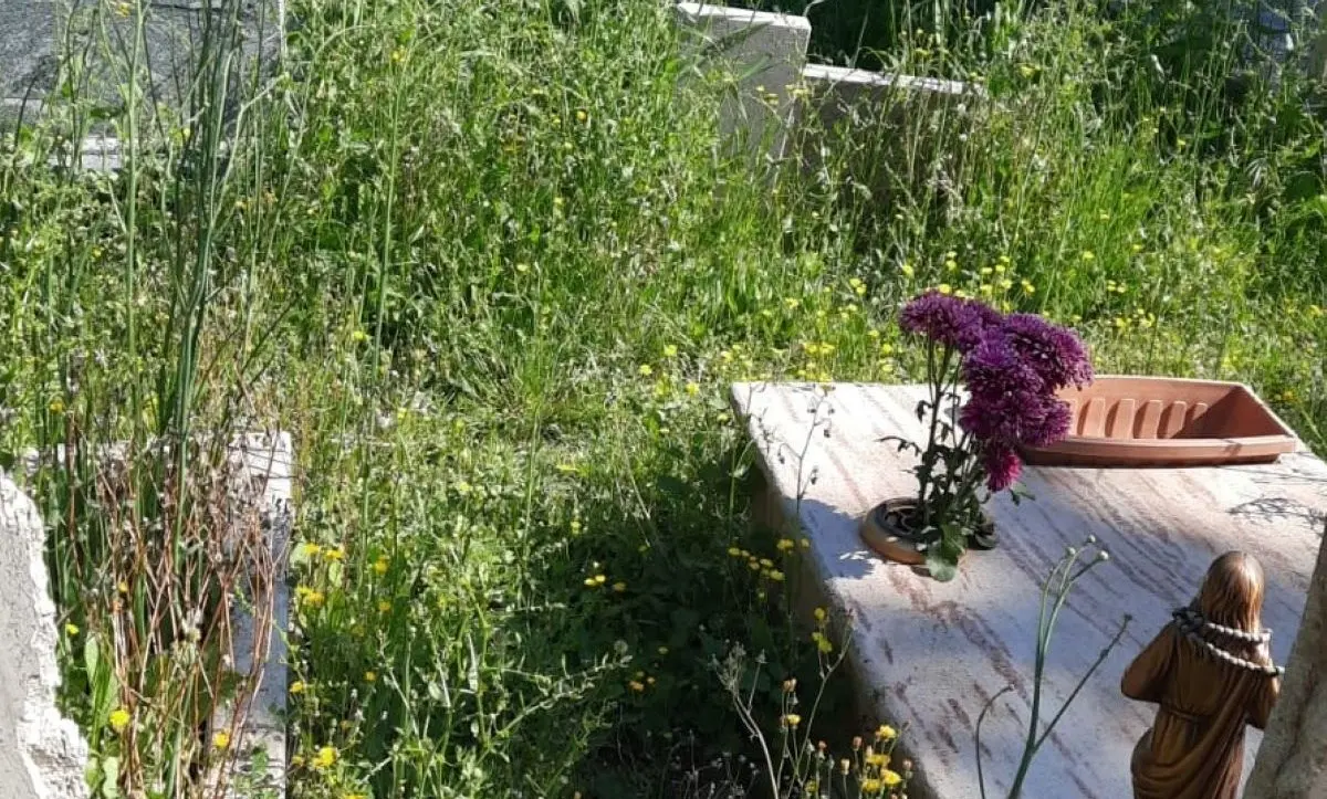 L’intera zona nord di Catanzaro (cimitero compreso) preda del degrado