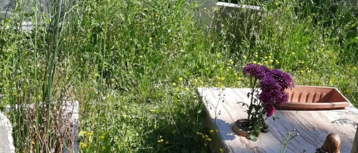 L’intera zona nord di Catanzaro (cimitero compreso) preda del degrado