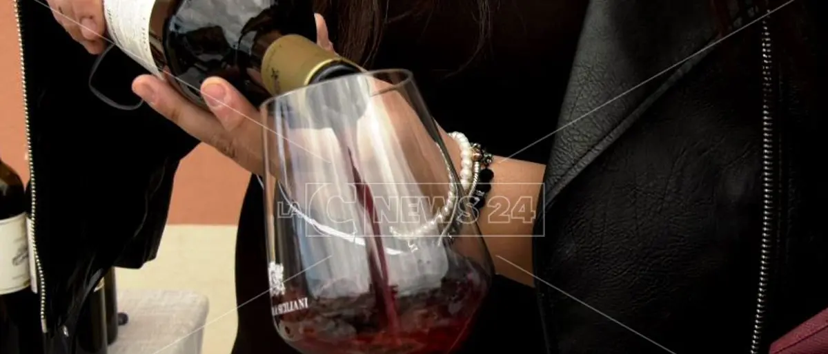 Cosenza Wine District, oltre 40 cantine calabresi insieme per la prima edizione del festival vinicolo