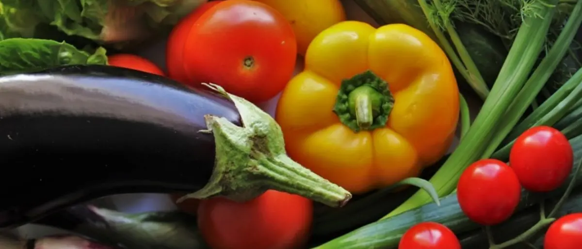 La Regione lancia le mense biologiche, Princi e Gallo: «Così valorizziamo i nostri prodotti»