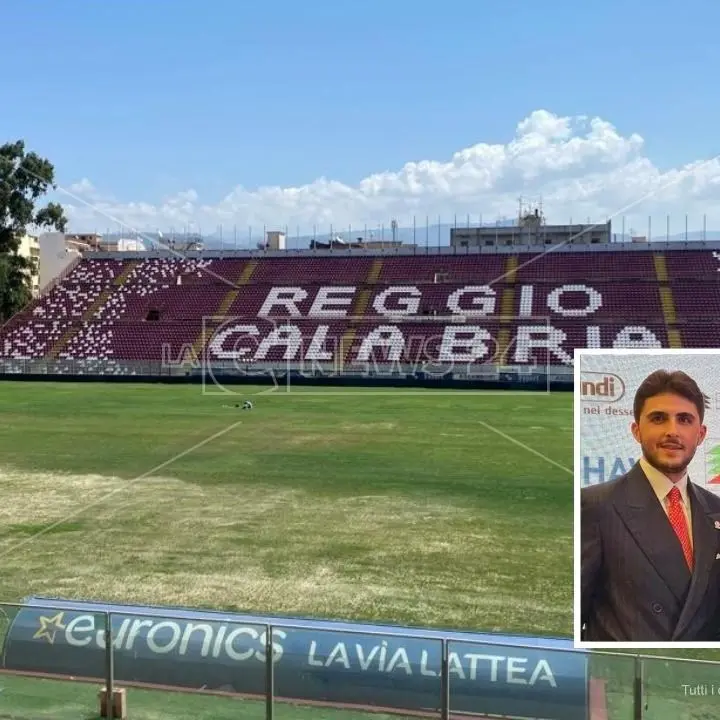 Reggina, un gruppo di professionisti tifosi chiede a iGreco di intervenire per salvare la società