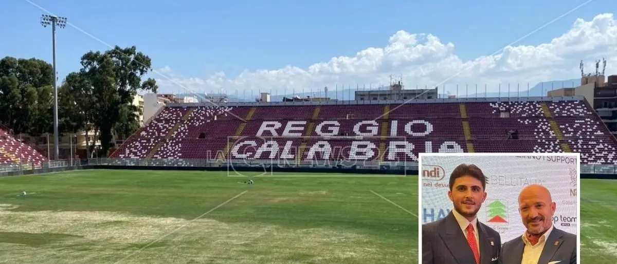 Reggina, un gruppo di professionisti tifosi chiede a iGreco di intervenire per salvare la società