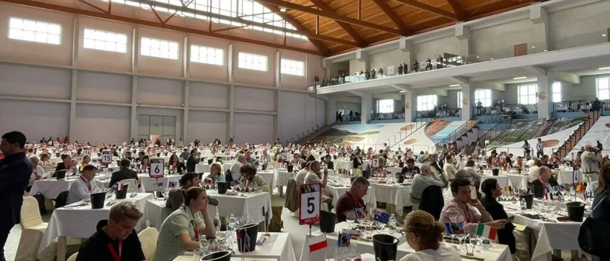 Concours mondial de Bruxelles, partita la competizione a Rende: in alto i calici dei 300 giurati