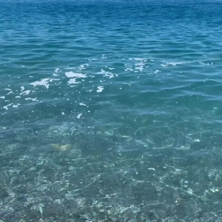 A Catanzaro il convegno Salviamo il mare: salute delle acque e depurazione al centro dell’incontro
