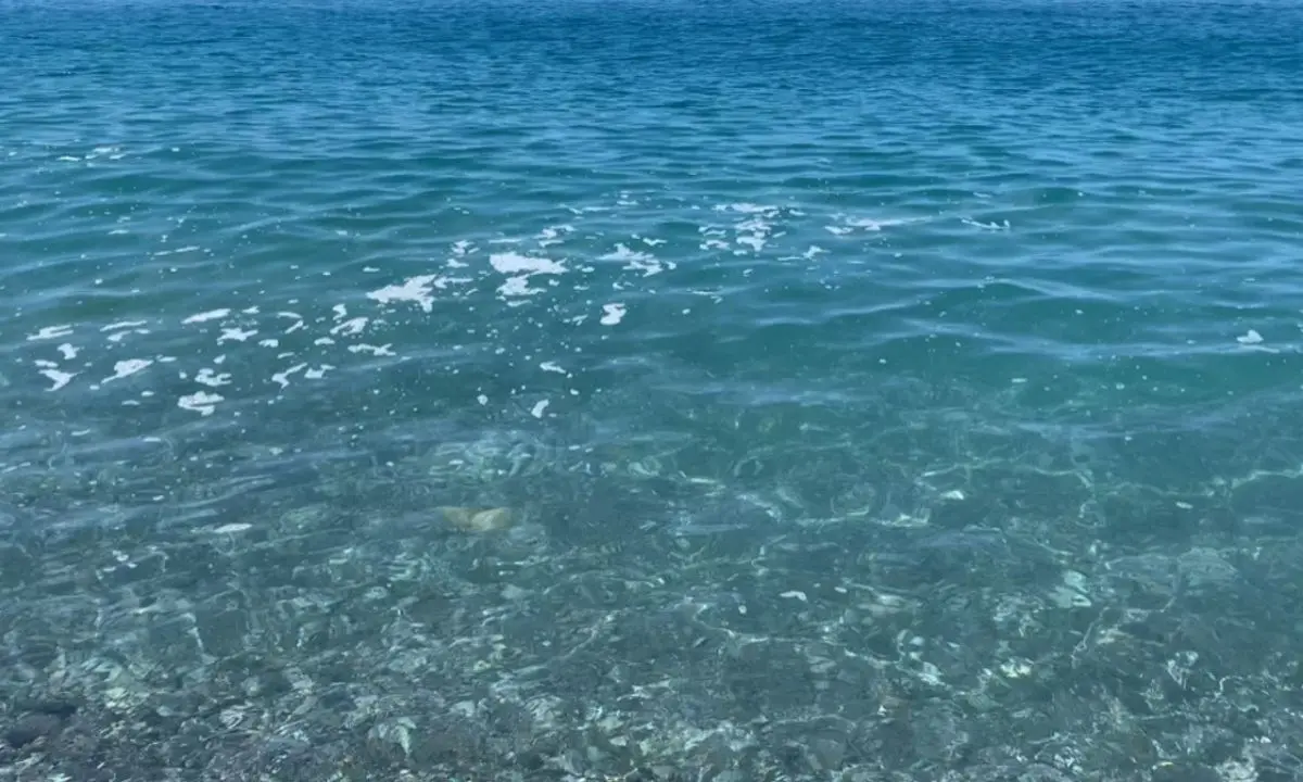 A Catanzaro il convegno Salviamo il mare: salute delle acque e depurazione al centro dell’incontro