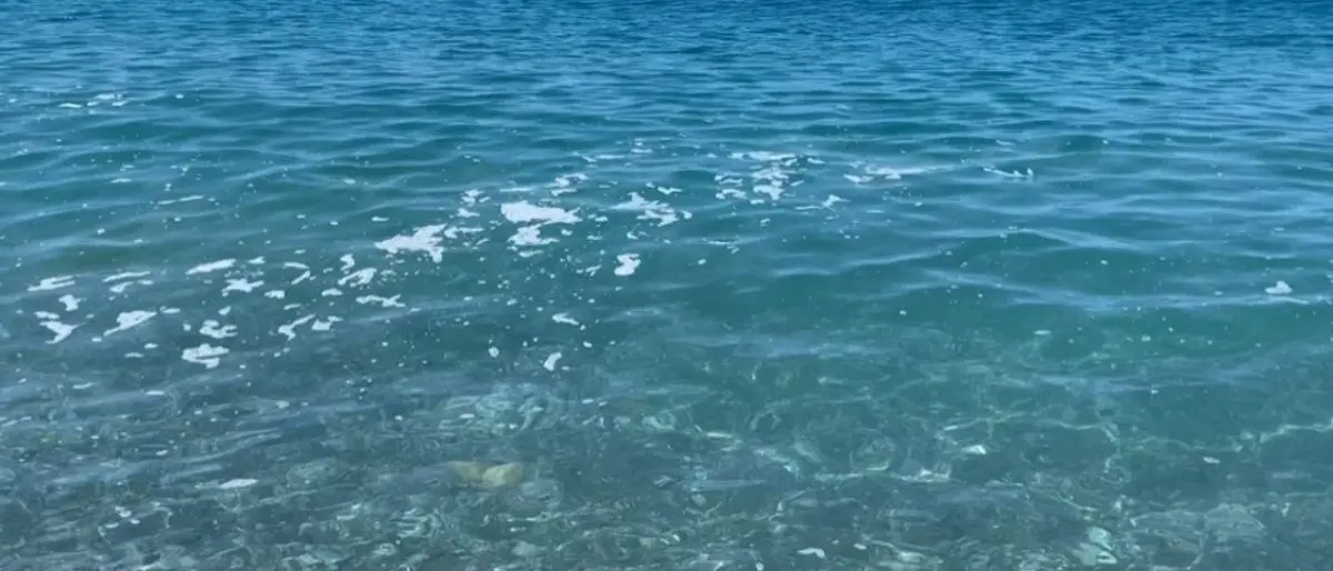 A Catanzaro il convegno Salviamo il mare: salute delle acque e depurazione al centro dell’incontro