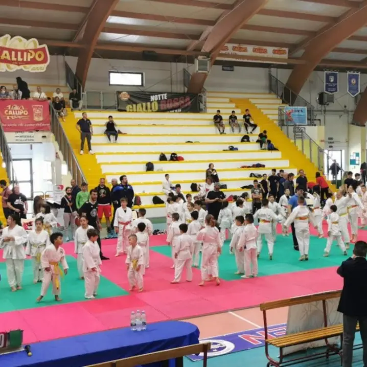 Torneo di Judo, a Vibo oltre 160 piccoli atleti provenienti da ogni angolo della Calabria