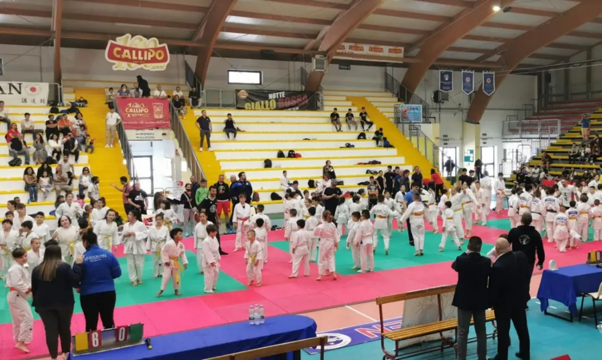 Torneo di Judo, a Vibo oltre 160 piccoli atleti provenienti da ogni angolo della Calabria