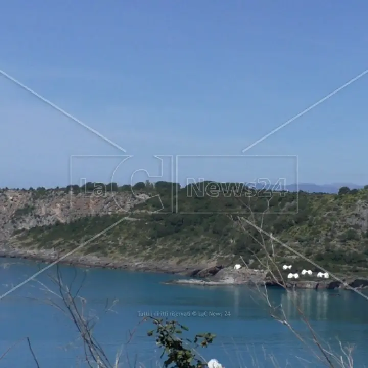 Isola Dino in vendita, dopo la “restituzione” ai cittadini una delle società coinvolte ricorre in appello: tutto da rifare