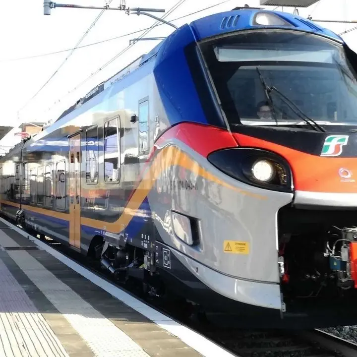 Treni veloci da Reggio a Cosenza, Tavernise (M5s): «Irrazionale cancellarli in estate»