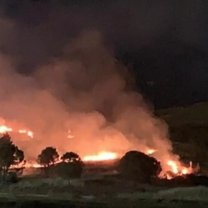 Incendio doloso a Crotone, le fiamme devastano un parco comunale: «Vigliacchi che non amano la città»