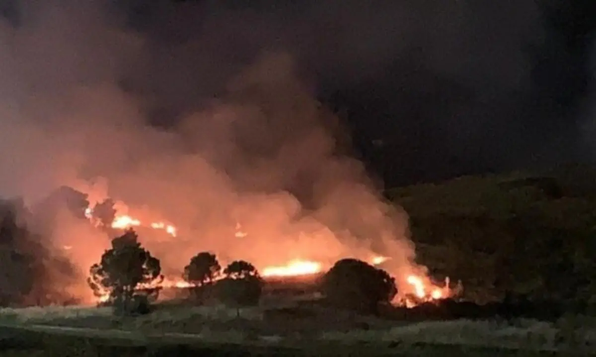 Incendio doloso a Crotone, le fiamme devastano un parco comunale: «Vigliacchi che non amano la città»