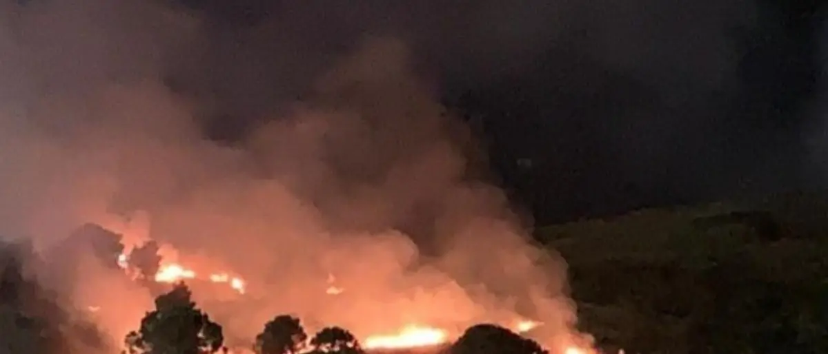 Incendio doloso a Crotone, le fiamme devastano un parco comunale: «Vigliacchi che non amano la città»