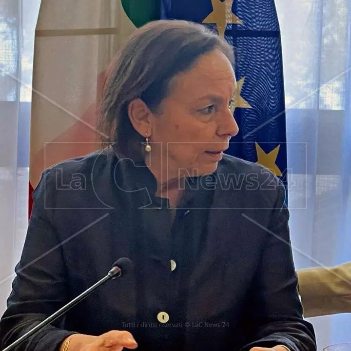 Il ministro Lamorgese a Reggio: infiltrazioni della ’ndrangheta ed emergenza migranti al centro del Comitato