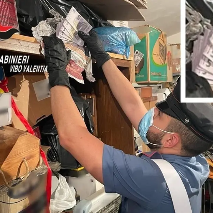 Banconote false e fuochi d’artificio detenuti illegalmente, un arresto nel Vibonese