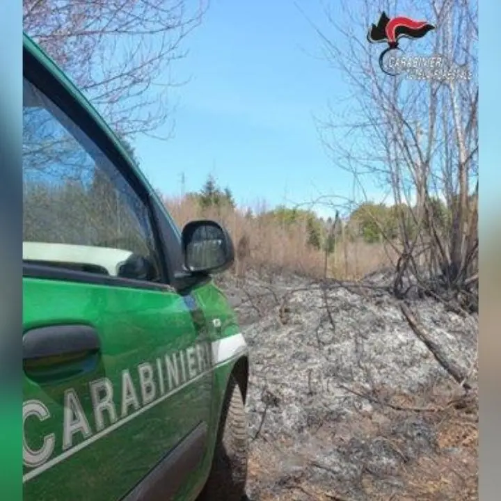 Incendio a Serra San Bruno, in fiamme area boschiva protetta: denunciate 4 persone