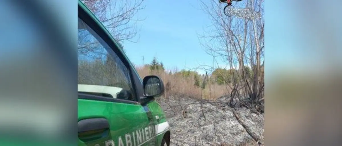 Incendio a Serra San Bruno, in fiamme area boschiva protetta: denunciate 4 persone