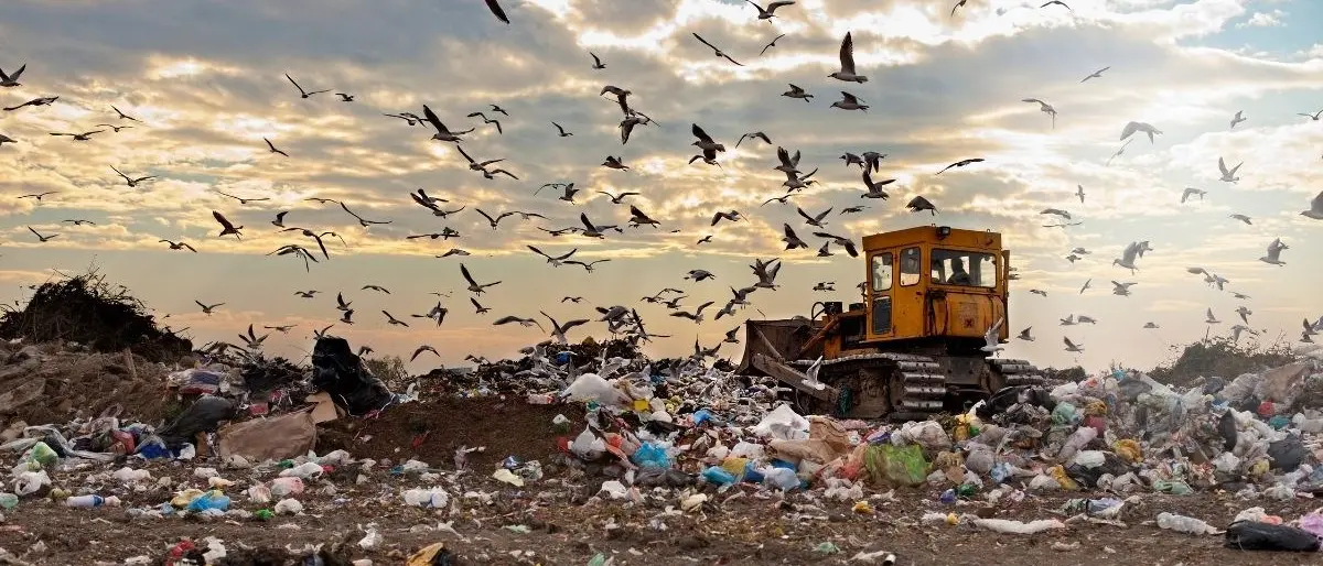 Rifiuti di altre città conferiti a Crotone, il Comune fa causa alla Regione: «Da recuperare 14 milioni»