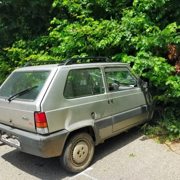 Incidente sulla strada che collega San Pietro a Maida e San Pietro Lametino, un ferito: sul posto l’elisoccorso