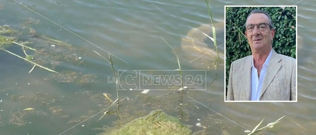 Approvata legge Salvamare, Tommasi (Alleanza ecologica): «La Regione si attivi per l’immediata applicazione»