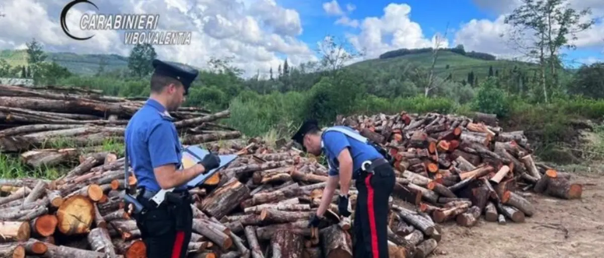 Soriano, rubano legna destinata alla vendita ma vengono beccati dalle telecamere