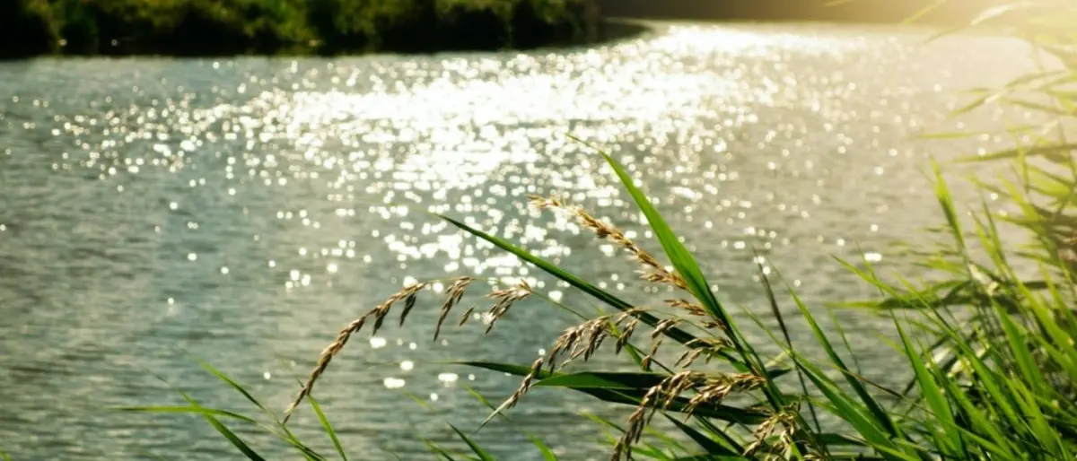 Si tuffa nel fiume ma sbatte la testa contro uno scoglio, 15enne muore in ospedale