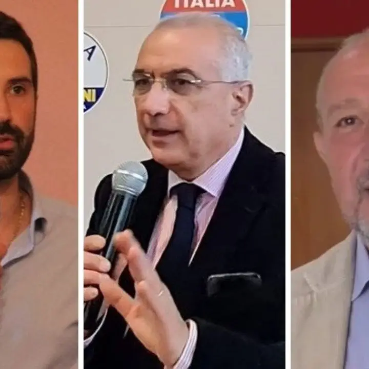 Elezioni comunali a Palmi, tre candidati in corsa per la poltrona di sindaco: i risultati