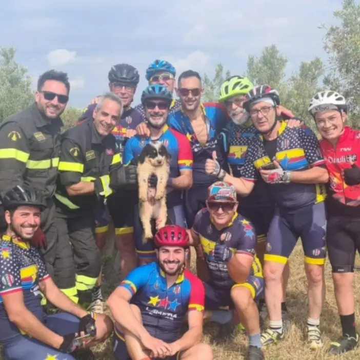 Lamezia, cane caduto in un pozzo salvato grazie alla segnalazione di alcuni ciclisti