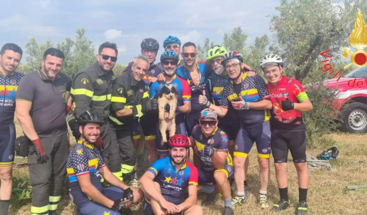 Lamezia, cane caduto in un pozzo salvato grazie alla segnalazione di alcuni ciclisti