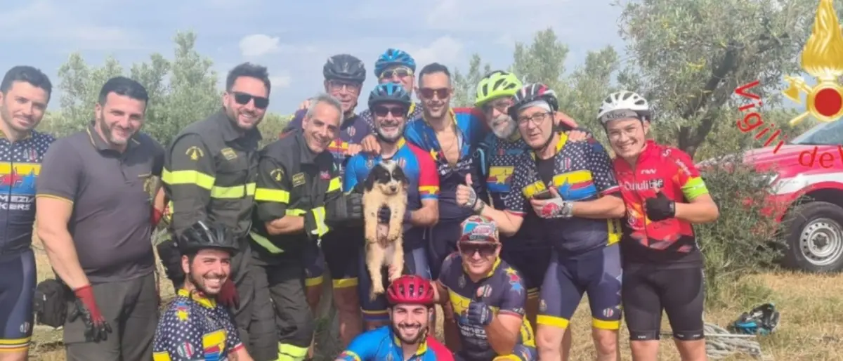 Lamezia, cane caduto in un pozzo salvato grazie alla segnalazione di alcuni ciclisti