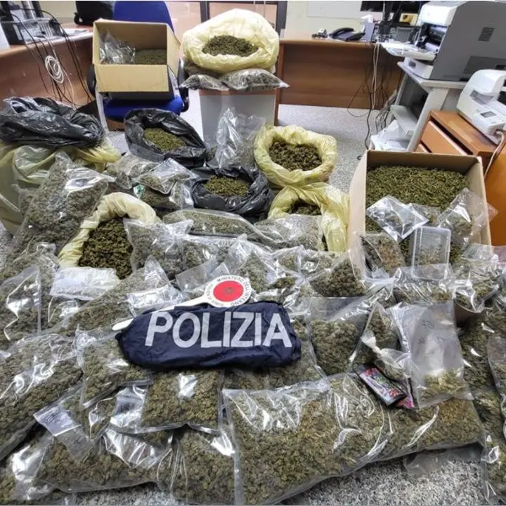 Nascondeva in casa 51 chili di marijuana: un arresto nel Vibonese