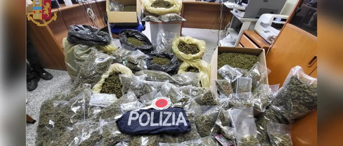 Nascondeva in casa 51 chili di marijuana: un arresto nel Vibonese