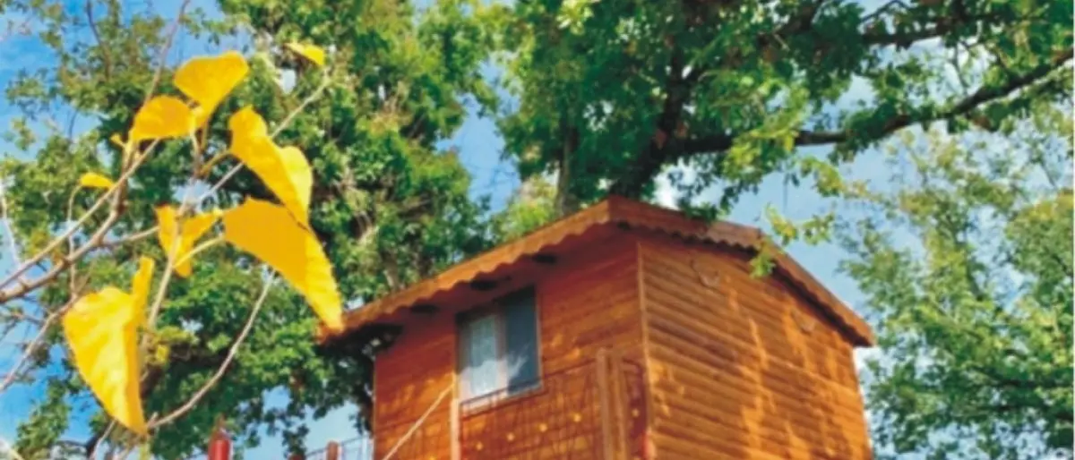 Soggiornare nella casetta sull’albero di Rogliano: l’esperienza inserita nei concorsi a premi di 3 noti marchi