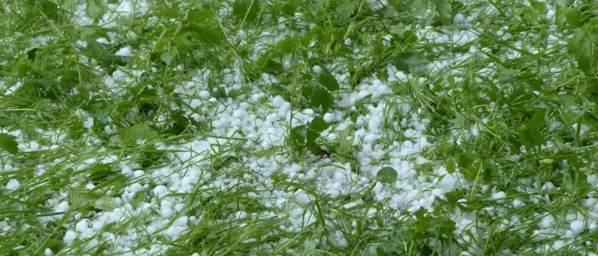 Bomba d’acqua e grandine a Castrovillari: disagi per 170 commercianti impegnati nella fiera di San Giovanni