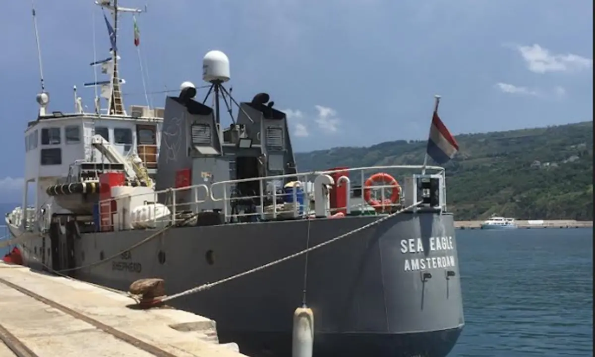 La flotta di Nettuno in Calabria a difesa dell’ecosistema marino, al porto di Vibo Marina attracca la Sea Eagle