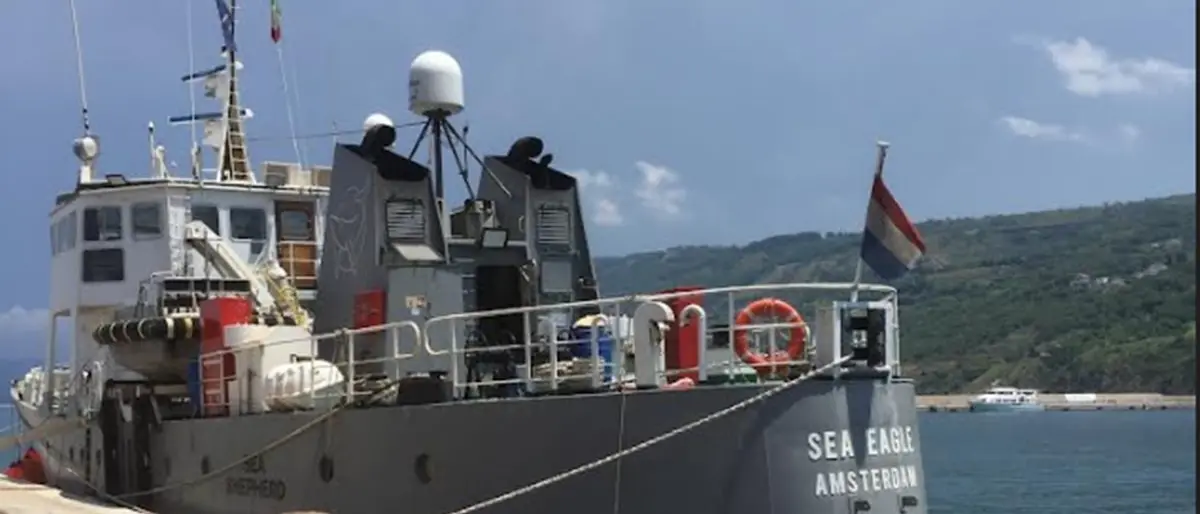 La flotta di Nettuno in Calabria a difesa dell’ecosistema marino, al porto di Vibo Marina attracca la Sea Eagle