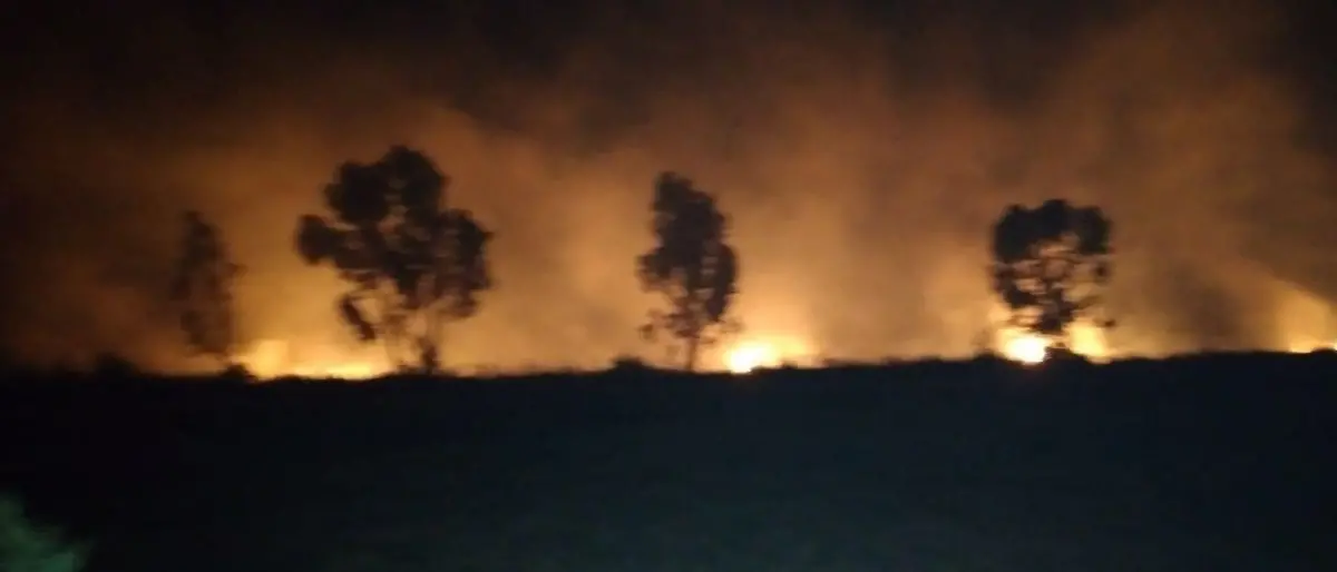 Incendio ai Laghi di Sibari, operazioni di spegnimento durate fino a tarda notte: si sospetta matrice dolosa