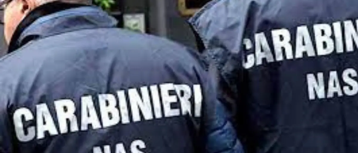 Controlli dei Nas nel Reggino, sequestrati oltre 300 kg di prodotti alimentari: multe per 35mila euro