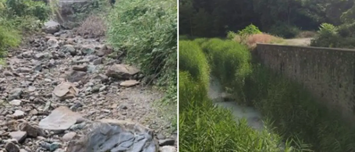 Disperso escursionista nel Cosentino, ricerche in corso ad Acquappesa