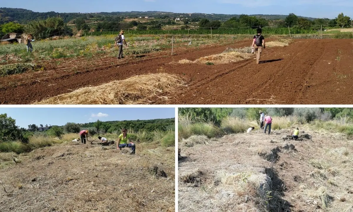 Ricercatori Unical sulle tracce di antiche necropoli nei territori di Briatico