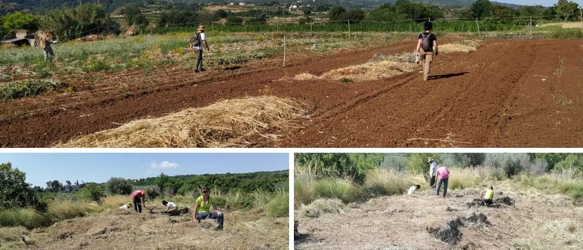 Ricercatori Unical sulle tracce di antiche necropoli nei territori di Briatico