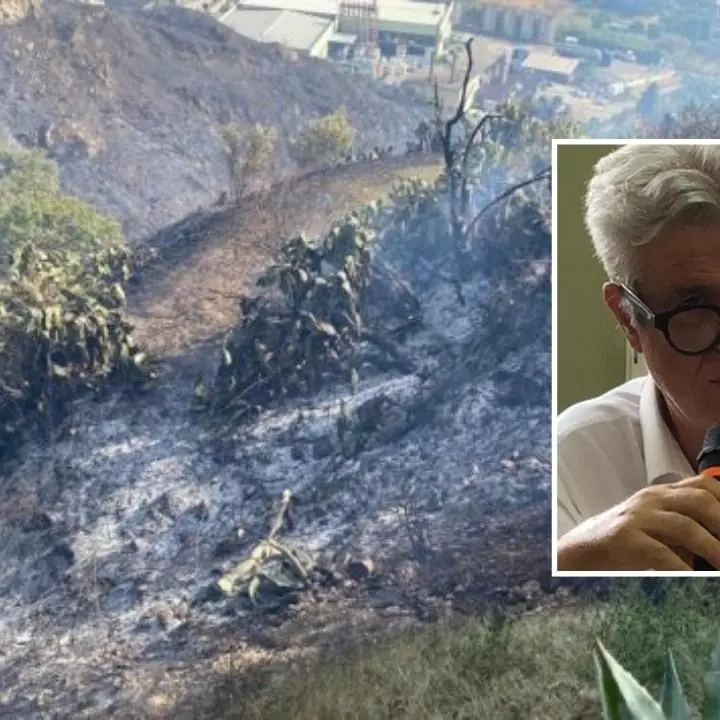 Incendi nel Reggino, il presidente del parco d’Aspromonte: «Bisogna tenere puliti i boschi, sia pubblici che privati»