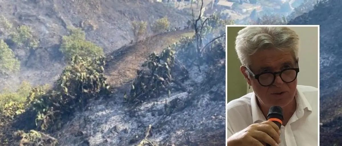Incendi nel Reggino, il presidente del parco d’Aspromonte: «Bisogna tenere puliti i boschi, sia pubblici che privati»