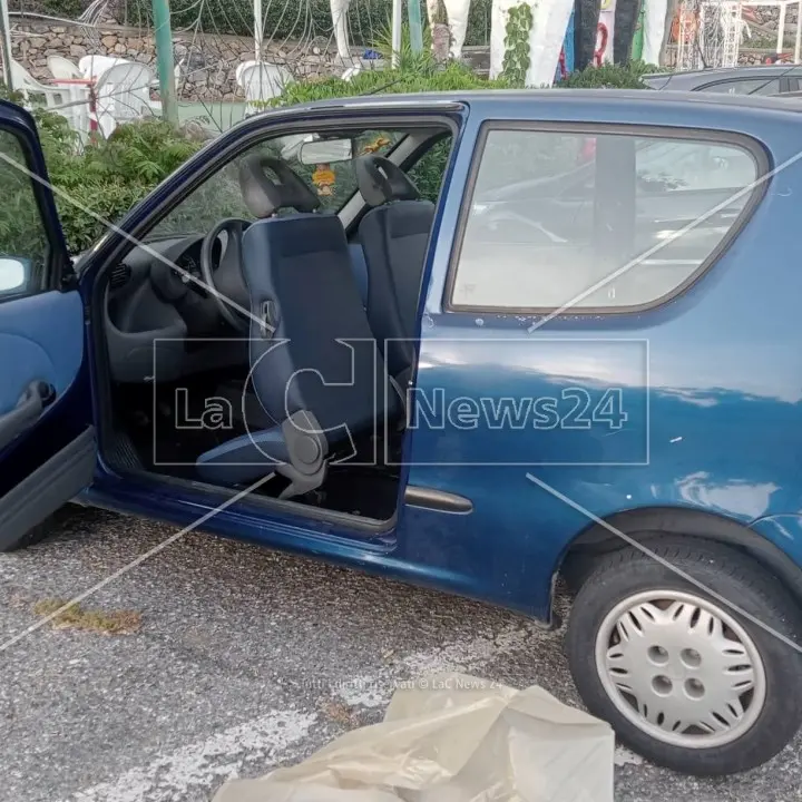 Cetraro, serpente finisce nell’auto di una donna: «È lì da cinque giorni e nessuno sa aiutarmi»