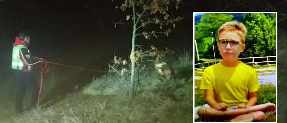 Bambino scomparso durante una passeggiata nel bosco, ricerche in corso nel Bellunese