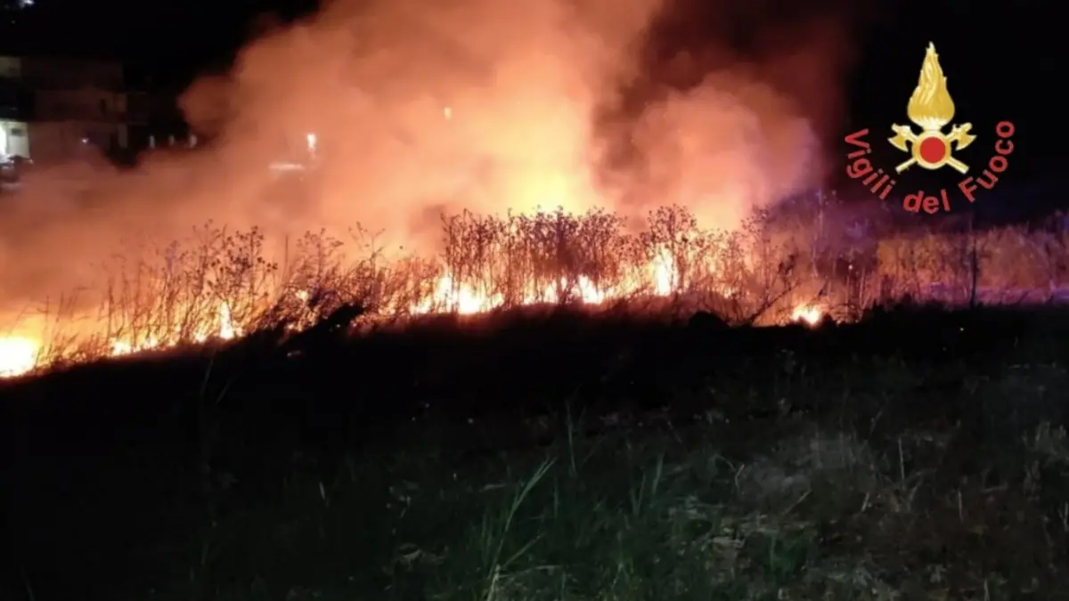 Brucia la Calabria, notte di incendi da Catanzaro a Reggio: vigili del fuoco al lavoro senza sosta