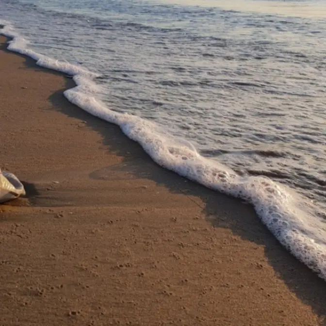 Cariati, per la pulizia del mare arriva l’innovativo bidone mangia-plastica