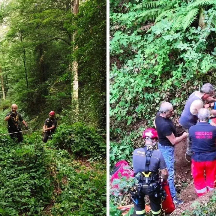 Motociclista perde il controllo e finisce in una scarpata nel Vibonese, salvato dai vigili del fuoco