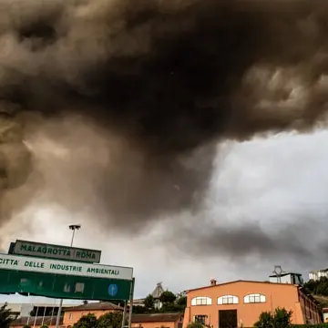 Non solo la Calabria, anche Roma brucia: «Più di cento incendi in un giorno e migliaia di ettari rischiano di andare in fumo»