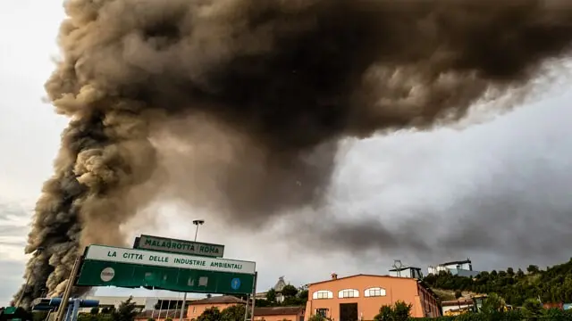 Non solo la Calabria, anche Roma brucia: «Più di cento incendi in un giorno e migliaia di ettari rischiano di andare in fumo»